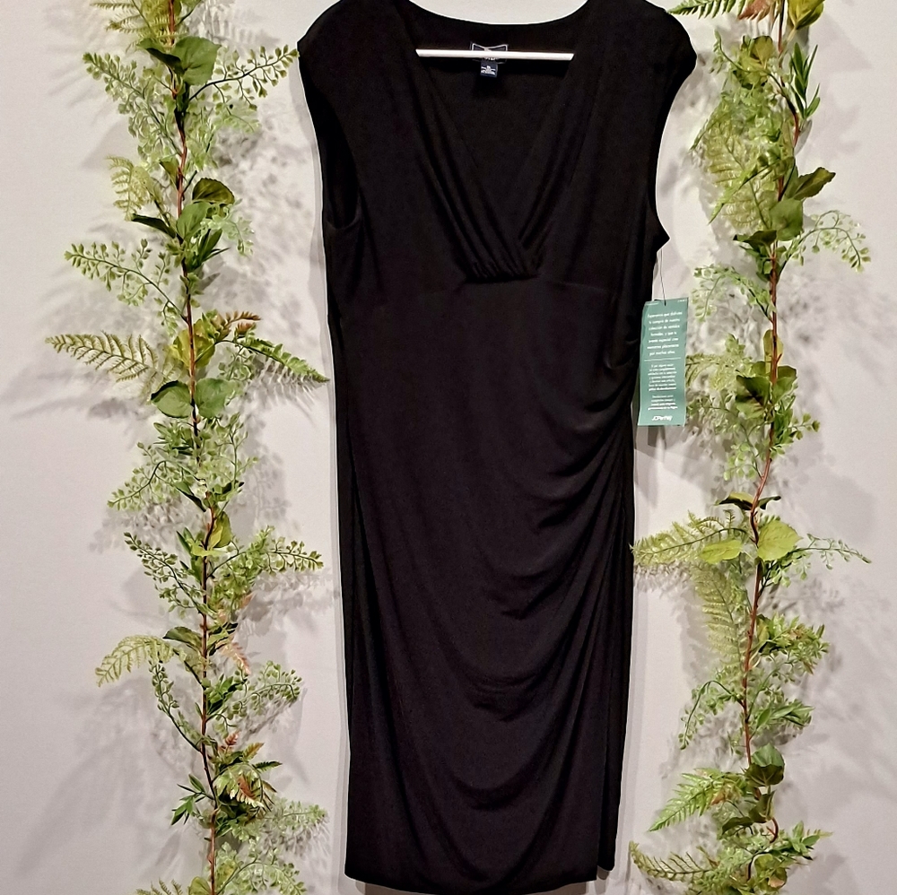 American Living elegant dress